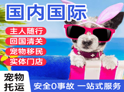 连云港花果山机场物流国际宠物托运 【国